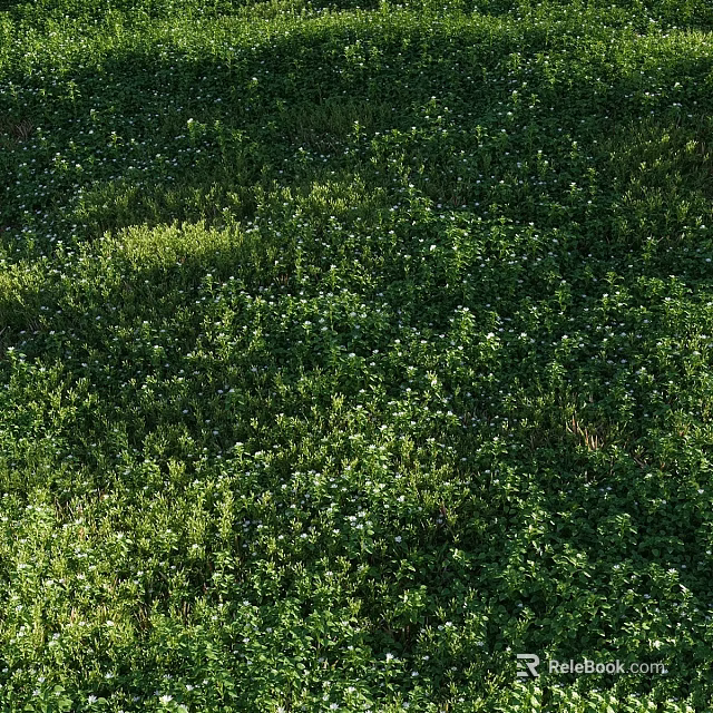 Lush Garden Grassland Covered With Small White Flowers And Green Herbaceous Plants 3d model 