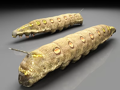 Reptiles With Long Brown Yellow Spotted Body Circular Orange Spots Granular Texture Horn Like Tail 3d model