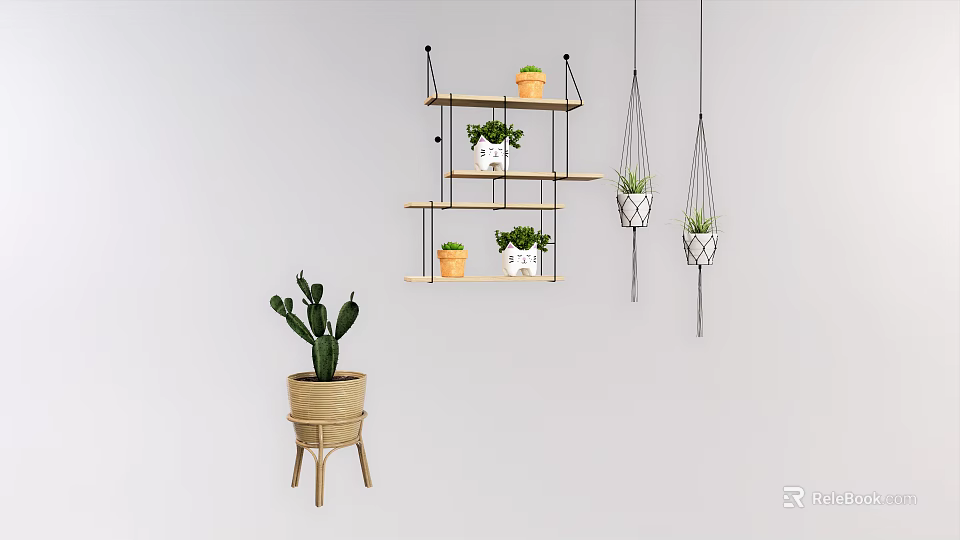 Stylish Indoor Potted Plants Display on Wooden Shelves and Hanging Pots with Cactus 3d model 