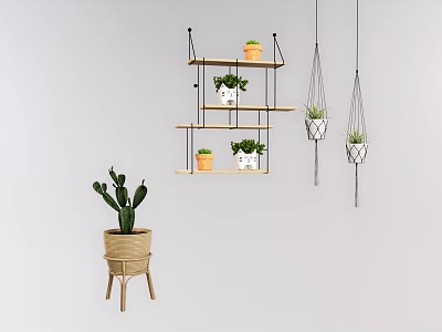 Stylish Indoor Potted Plants Display on Wooden Shelves and Hanging Pots with Cactus 3d model