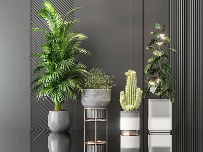 Indoor Potted Plants with Green Cactus Light String in Gray White Pots on Metal Stand 3d model