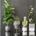 Indoor Potted Plants with Green Cactus Light String in Gray White Pots on Metal Stand