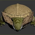 Turtle Cartoon Turtle Snapping Turtle Chickbill Turtle Reptile Cold Blooded Animal Reptile Class 3d model