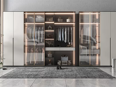 Modern Wardrobe With Glass Doors LED Lighting And Interior Storage Solutions 3d model