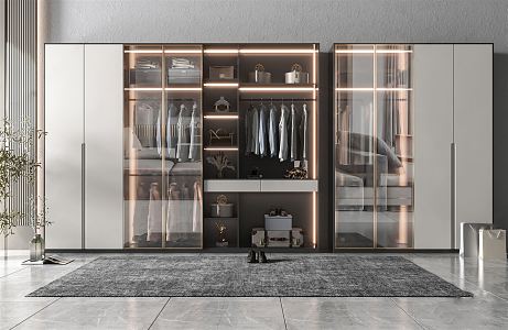 Modern wardrobe carpet 3d model