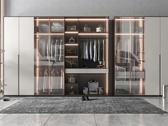 Modern wardrobe carpet 3d model