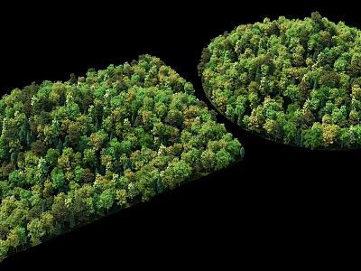 Lush Green Arbor Trees Landscape with Rectangular and Circular Dense Formation Design 3d model