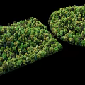 Lush Green Arbor Trees Landscape with Rectangular and Circular Dense Formation Design 3d model
