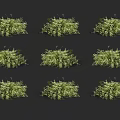 Green Shrubs Display In Grid Arrangement With Different Views On Black Background 3d model
