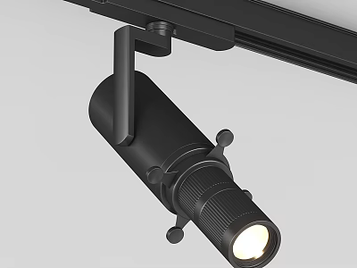 Modern Black Track Mounted Spotlight with Adjustable Head and Bright Illumination 3d model