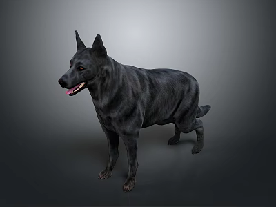Black Dog Standing in Side View With Open Mouth and Tongue Against Gray Background 3d model