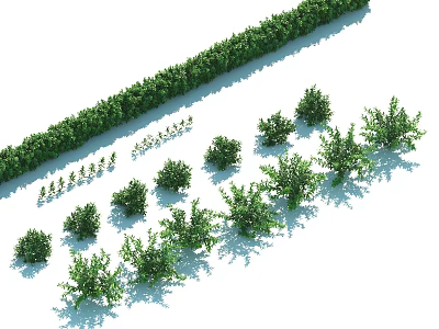 Green Shrub Landscaping With Linear Hedge And Individual Garden Plants 3d model