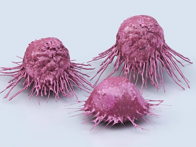 Three Pink Spiky Cancer Cells 3D Rendering With Detailed Projections 3d model