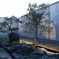 Karesansui Zen Garden Design with Large Rocks Moss Trees and Gravel Through Glass Windows