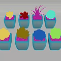Various Colorful Succulent Plants in White Ceramic Pots for Indoor Decor
