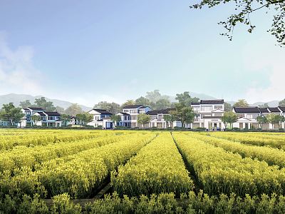 New Chinese Style Folk House Rural Folk House Homestay Building Residential House Beautiful Countryside Building Courtyard Building Villa Building model