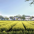Scenic Rural Landscape With Yellow Rapeseed Field Neat Houses Blue Sky And Mountains