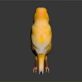 Yellow Bird Standing On Black Surface With Reflection In Studio Lighting