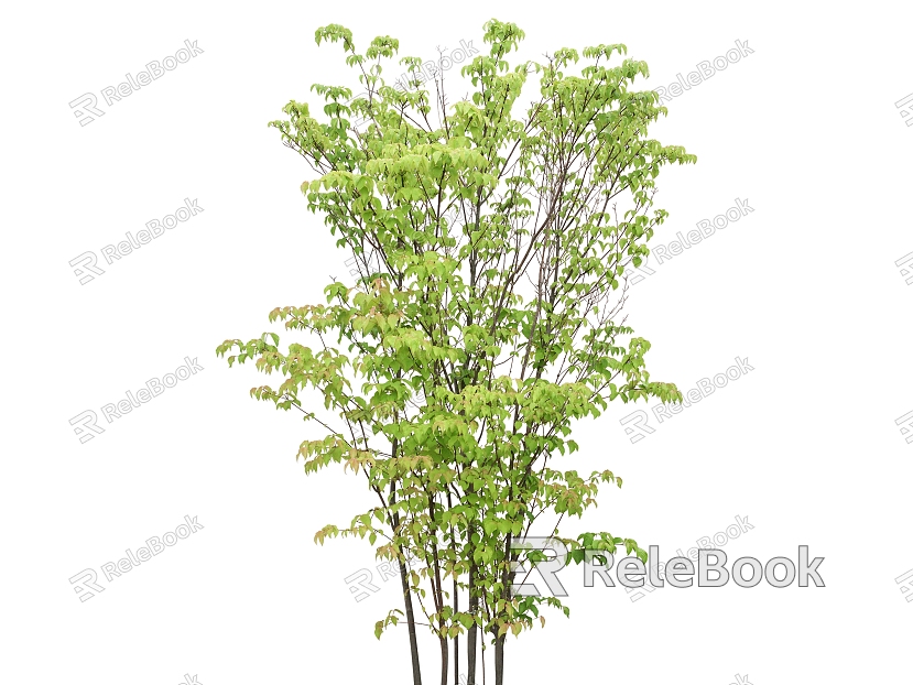 Plant HD Green Plant Tree model