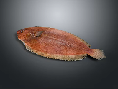 Whole Fresh Brown Yellow Flatfish With Fins And Tail On Gray Background 3d model
