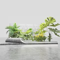 Modern Indoor Plant Display With Gray Platform And Green Large Leaf Plants