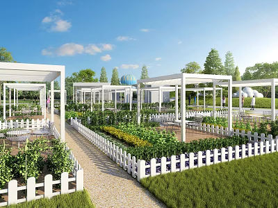 Modern Community Garden Landscape With White Pergolas Picket Fences And Tidy Neat Planting Areas 3d model