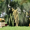 Outdoor Floral Display With Hanging Plants White Flowers And Fruits In Green Grass