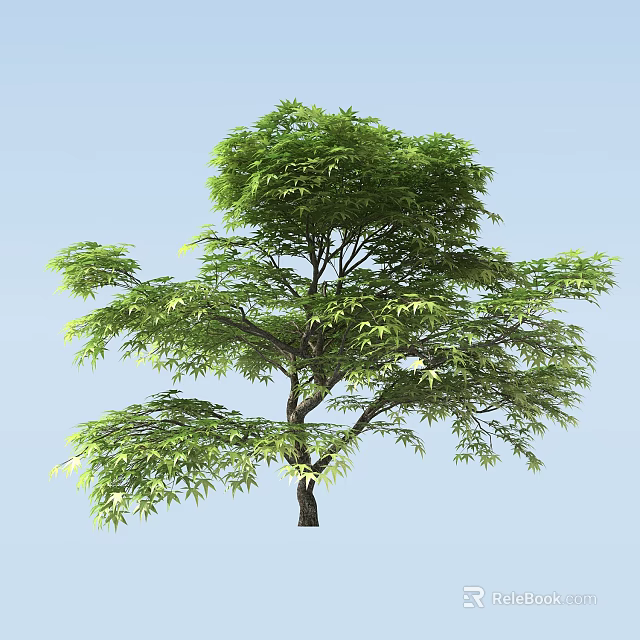 Lush Green Leafy Tree With Strong Trunk And Extended Branches Against Blue Sky Background 3d model 
