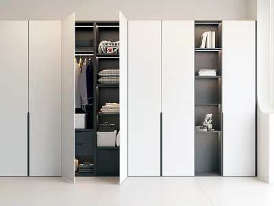 Modern Wardrobe Interior Organization With Hanging Clothes Stacked Items Shelves And Storage Boxes 3d model