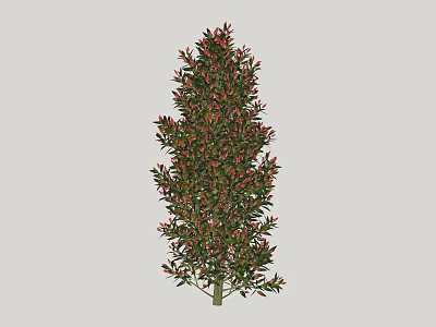 Tall Arbor with Green Leaves and Pink Flowers in Lush Foliage 3d model
