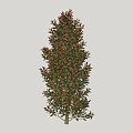 Tall Arbor with Green Leaves and Pink Flowers in Lush Foliage