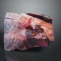 Vibrant Pink Mushroom Growing on a Piece of Weathered Wood with Natural Texture
