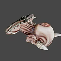 Horned Fantasy Game Movie Character With Pointed Ears Intricate Skin Texture And Spiked Shoulders