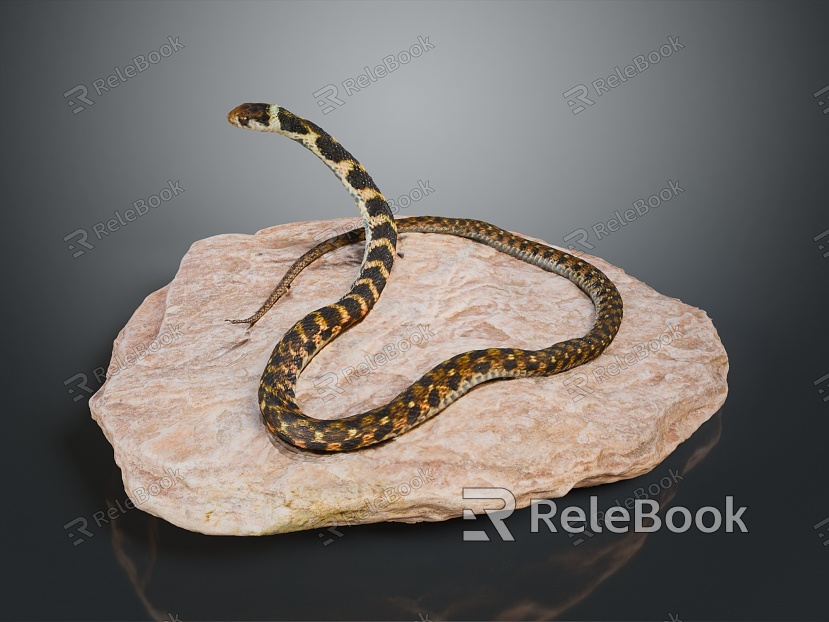 snake cobra venomous snake python reptile cold-blooded animal reptile reptile model