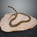 snake cobra venomous snake python reptile cold-blooded animal reptile 3d model