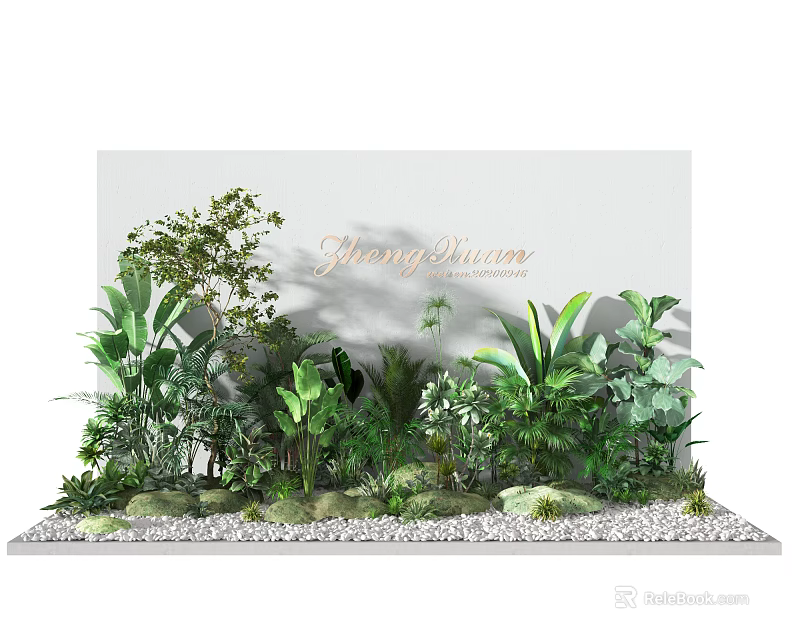 Lush Green Plants Window Display With White Backdrop Gold Daring Dream Lettering And Pebbles 3d model 