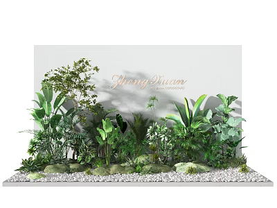 Lush Green Plants Window Display With White Backdrop Gold Daring Dream Lettering And Pebbles 3d model