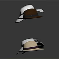 Assorted Stylish Hats In Different Styles For Daily Fashion Accessory