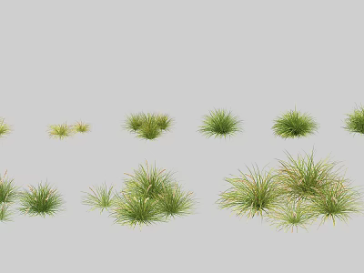 Showcasing Green Bushes With Various Shapes And Sizes On Grey Background 3d model