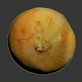 Ripe Fresh Whole Yellow Onion With Smooth Outer Skin On Dark Surface