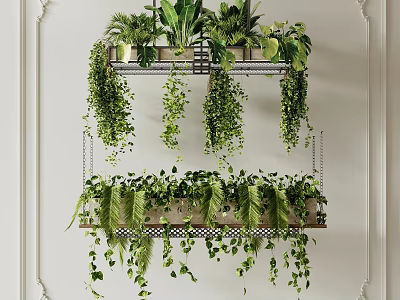 Hanging Basket Plants Indoor Decor With Green Trailing Leaves And Metal Frame On White Wall 3d model