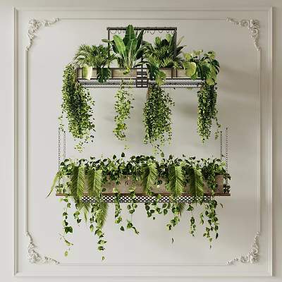 Hanging Basket Plants Indoor Decor With Green Trailing Leaves And Metal Frame On White Wall 3d model