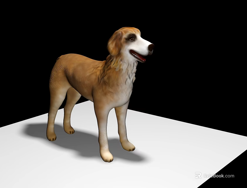 Realistic Reptile Lizard 3D Model Standing On White Platform With Black Background 3d model