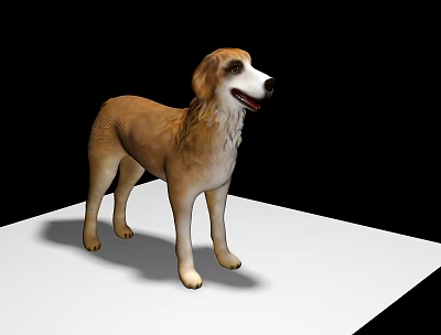 Realistic Reptile Lizard 3D Model Standing On White Platform With Black Background 3d model