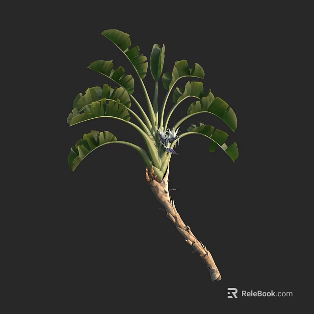 Tropical Tree With Large Green Leaves And Curved Trunk Structure 3d model