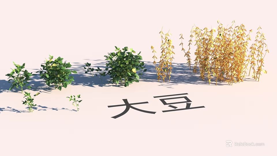 Lush Garden Landscape With Soybean Plants Green Shrubs And Yellow Vegetation 3d model 