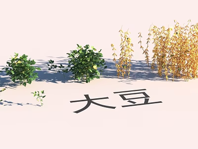 Lush Garden Landscape With Soybean Plants Green Shrubs And Yellow Vegetation 3d model