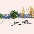 Lush Garden Landscape With Soybean Plants Green Shrubs And Yellow Vegetation