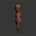 Brown Horse Standing With Open Mouth On Gray Background In Lifelike Pose