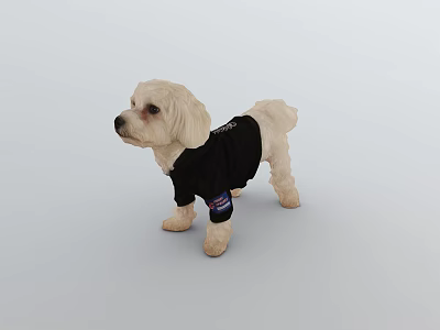 The Modern Dog 3d model